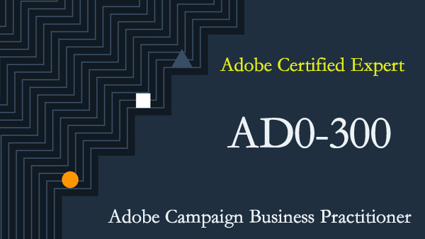 Adobe Campaign Business Practitioner Test  9A0-395 Exam QA SIM PDF+Simulator 